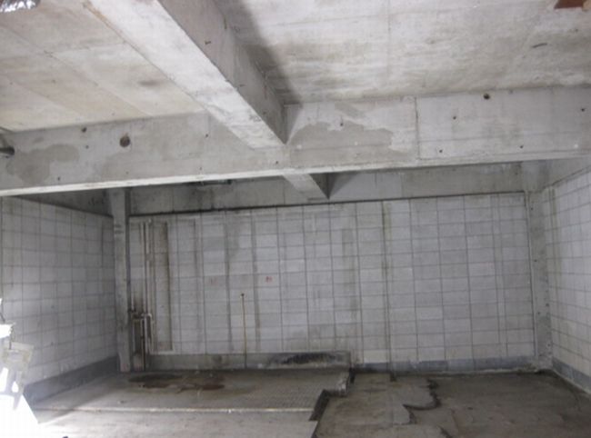 調布市菊野台1 1 柴崎駅 柴崎駅 貸店舗 B1fの賃貸事務所 貸事務所 貸店舗の詳細 テナント Biz