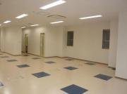 U`mu NEW WING3