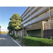 �n�C������